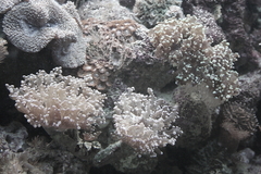 Killikus&reg; Fotographie